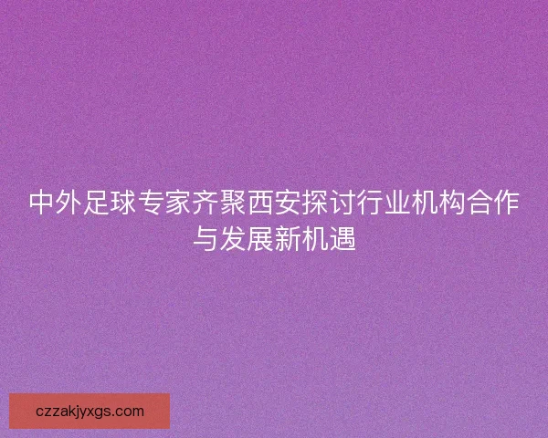 中外足球专家齐聚西安探讨行业机构合作与发展新机遇